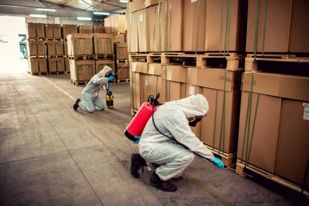 Best Best Pest Control Companies  in Lancaster, TX