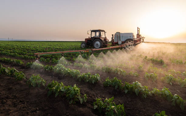 Best Best Pest Control Companies  in Lancaster, TX