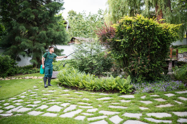 Best Ant Control Services  in Lancaster, TX