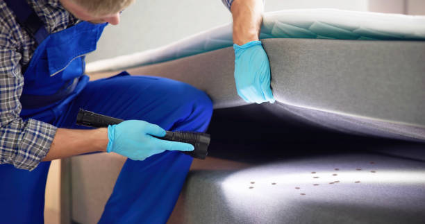Best Affordable Pest Control Services  in Lancaster, TX