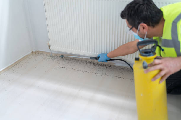 Best Bed Bug Extermination  in Lancaster, TX